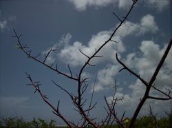 Monpoos_20130530_074